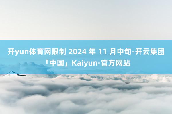 开yun体育网限制 2024 年 11 月中旬-开云集团「中国」Kaiyun·官方网站
