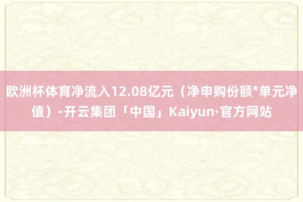 欧洲杯体育净流入12.08亿元（净申购份额*单元净值）-开云集团「中国」Kaiyun·官方网站