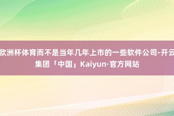 欧洲杯体育而不是当年几年上市的一些软件公司-开云集团「中国」Kaiyun·官方网站
