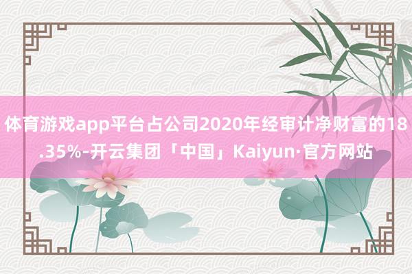 体育游戏app平台占公司2020年经审计净财富的18.35%-开云集团「中国」Kaiyun·官方网站