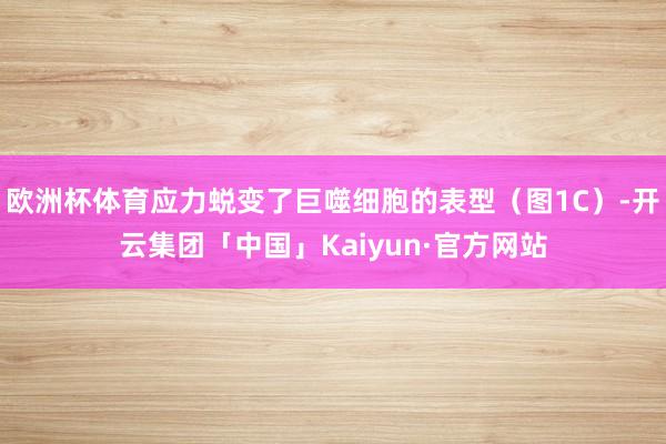 欧洲杯体育应力蜕变了巨噬细胞的表型（图1C）-开云集团「中国」Kaiyun·官方网站