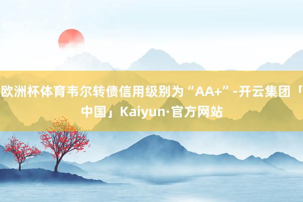 欧洲杯体育韦尔转债信用级别为“AA+”-开云集团「中国」Kaiyun·官方网站