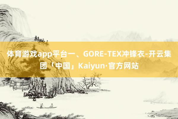 体育游戏app平台一、GORE-TEX冲锋衣-开云集团「中国」Kaiyun·官方网站