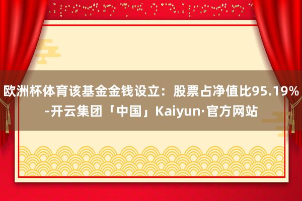 欧洲杯体育该基金金钱设立：股票占净值比95.19%-开云集团「中国」Kaiyun·官方网站