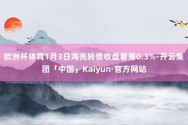 欧洲杯体育1月3日海亮转债收盘着落0.3%-开云集团「中国」Kaiyun·官方网站