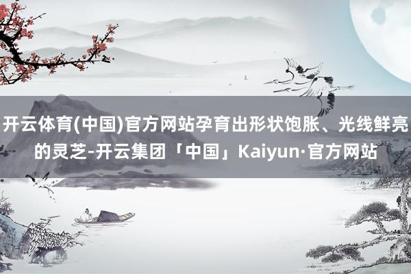 开云体育(中国)官方网站孕育出形状饱胀、光线鲜亮的灵芝-开云集团「中国」Kaiyun·官方网站