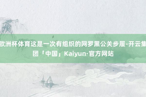 欧洲杯体育这是一次有组织的网罗黑公关步履-开云集团「中国」Kaiyun·官方网站