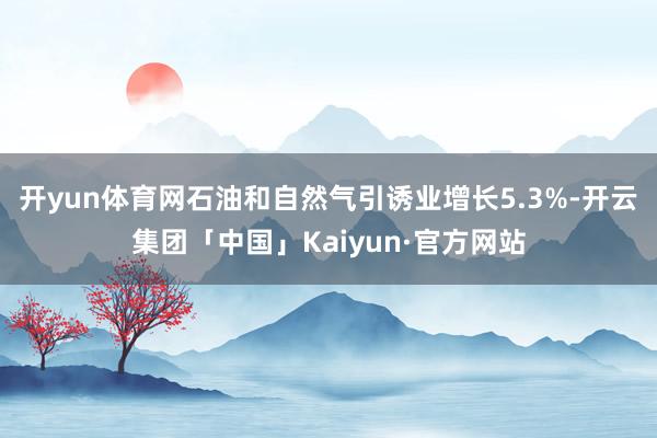开yun体育网石油和自然气引诱业增长5.3%-开云集团「中国」Kaiyun·官方网站