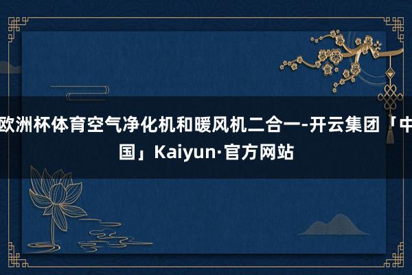 欧洲杯体育空气净化机和暖风机二合一-开云集团「中国」Kaiyun·官方网站