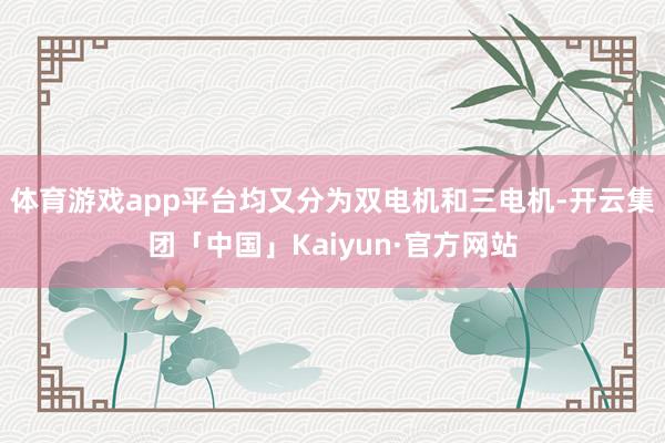 体育游戏app平台均又分为双电机和三电机-开云集团「中国」Kaiyun·官方网站