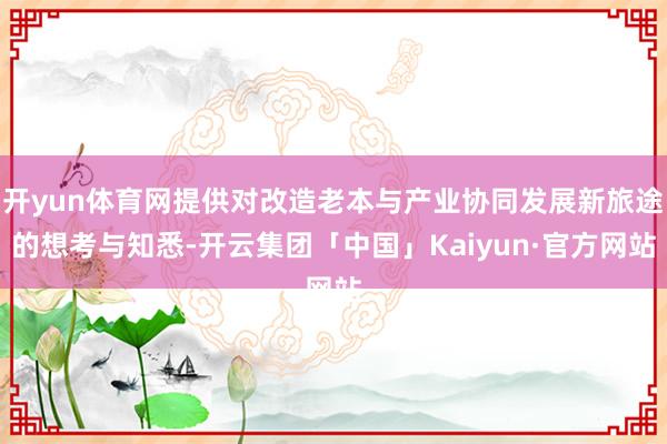 开yun体育网提供对改造老本与产业协同发展新旅途的想考与知悉-开云集团「中国」Kaiyun·官方网站