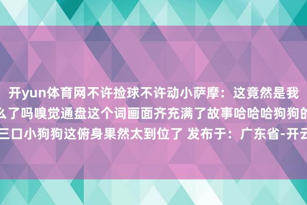 开yun体育网不许捡球不许动小萨摩：这竟然是我？？？喵：？？？我说什么了吗嗅觉通盘这个词画面齐充满了故事哈哈哈狗狗的一家三口小狗狗这俯身果然太到位了 发布于：广东省-开云集团「中国」Kaiyun·官方网站