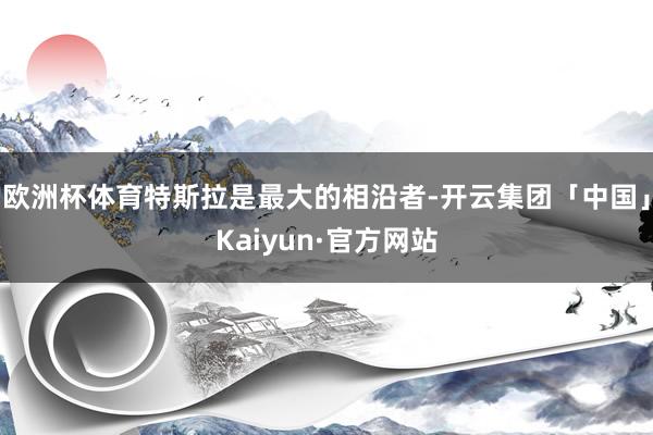 欧洲杯体育特斯拉是最大的相沿者-开云集团「中国」Kaiyun·官方网站