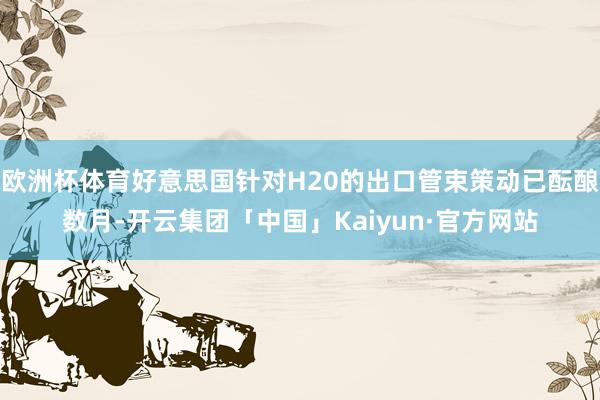 欧洲杯体育好意思国针对H20的出口管束策动已酝酿数月-开云集团「中国」Kaiyun·官方网站