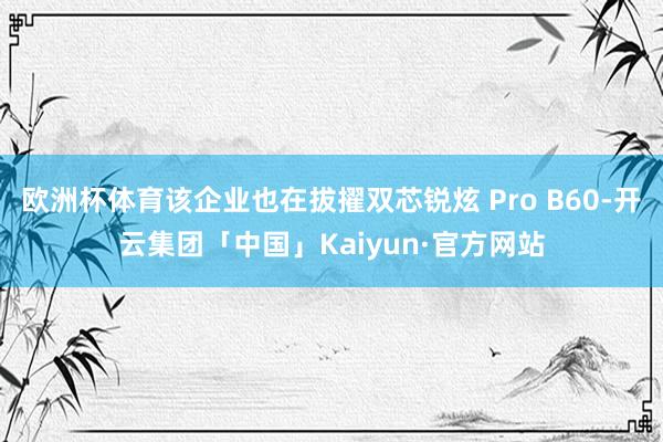 欧洲杯体育该企业也在拔擢双芯锐炫 Pro B60-开云集团「中国」Kaiyun·官方网站