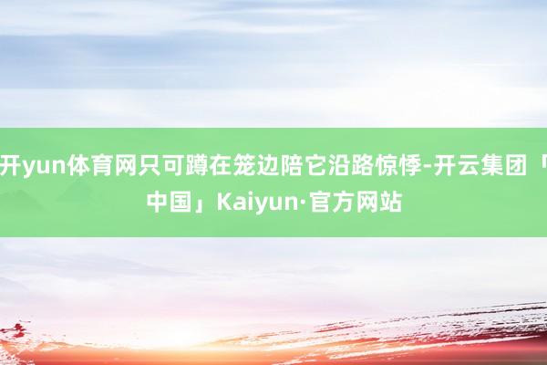 开yun体育网只可蹲在笼边陪它沿路惊悸-开云集团「中国」Kaiyun·官方网站