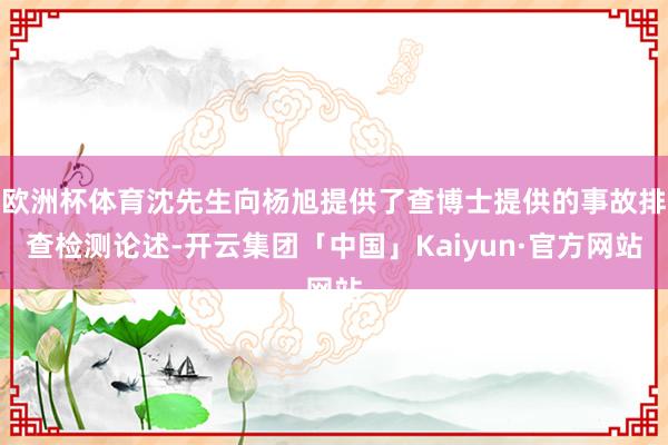 欧洲杯体育沈先生向杨旭提供了查博士提供的事故排查检测论述-开云集团「中国」Kaiyun·官方网站