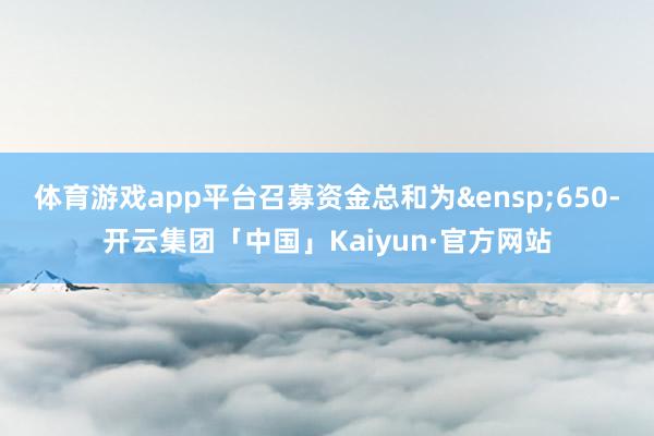 体育游戏app平台召募资金总和为 650-开云集团「中国」Kaiyun·官方网站
